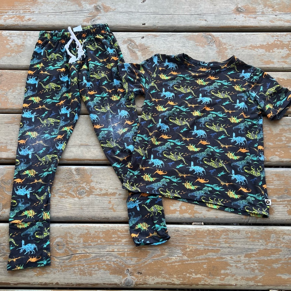 Bumblito 2 Piece Matching Dinosaur Joggers & Short Sleeve Top - Size 5/6 Years